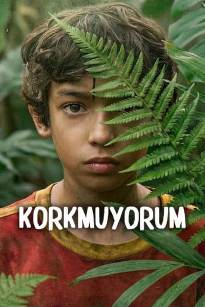 TR: Korkmuyorum (2026)